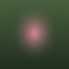 Placeholder for a photo of a flower